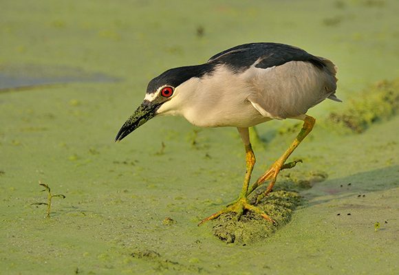 On The Hunt On The Hunt