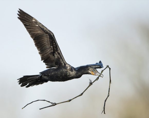 Under Construction Under Construction