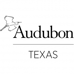 Audubon Texas