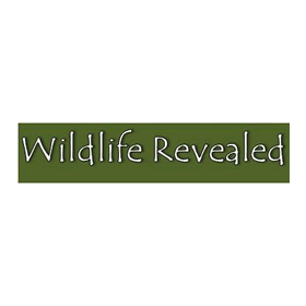 Wildlife Revealed