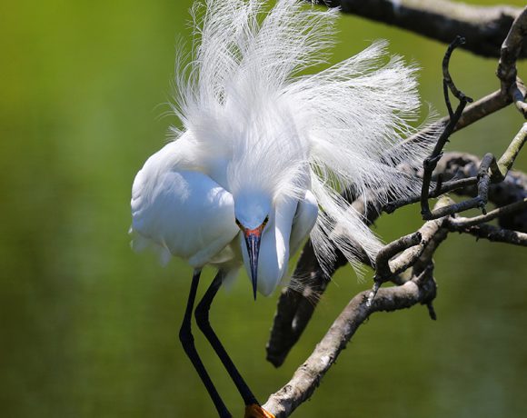 Easy Does It Easy Does It