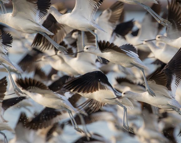 Close Quarters Close Quarters