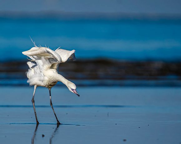 I Spy with My Little Eye I Spy with My Little Eye