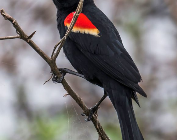 Holding Tight Holding Tight