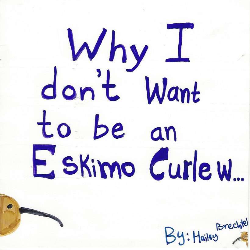 Why I don’t want to be an Eskimo Curlew…