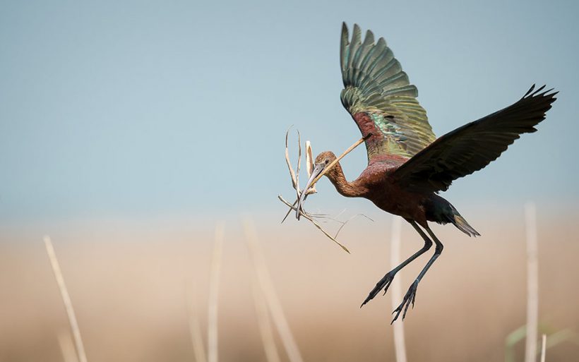 Construction Delivery Construction Delivery