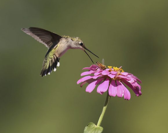 Look Behind You Look Behind You