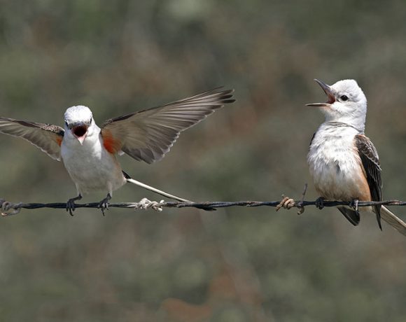 Party Time! Party Time!