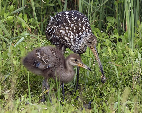 Life Lesson Life Lesson